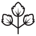 Parsley icon