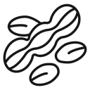 Peanut icon
