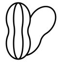 Peanut Pod Kernel icon
