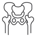 Pelvic area Black Outline icon