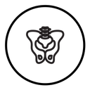 Pelvic area icon