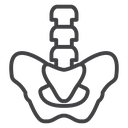 Pelvic area icon