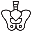 Pelvis icon