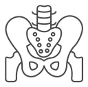 Pelvis Black Outline icon