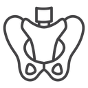 Pelvis icon