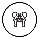 Pelvis icon