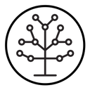 Phylogenetic tree icon