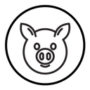 Pig face icon