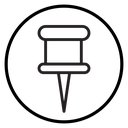 Pin icon