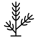 Pine branch icon
