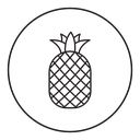 Pineapple icon