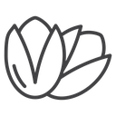 Pistachio icon