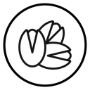 Pistachio icon