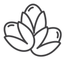 Pistachio icon