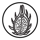 Pitaya icon