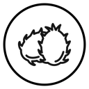 Pitaya icon