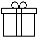 Present box Black Outline icon