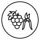 Pruning grape Black Outline icon