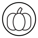 Pumpkin icon