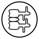 Radiculopathy radicular syndrome icon