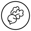 Radish Black Outline icon