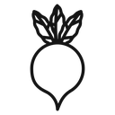 Radish icon