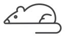 Rat Black Outline icon