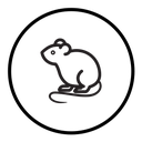 Rat icon