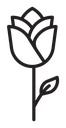 Rose icon
