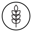 Rye icon