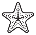 Sea star icon