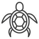 Sea turtle icon