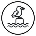 Sea with seagull icon