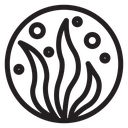 Seaweed icon
