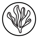 Seaweed icon