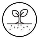 Seedling in soil icon