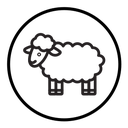 Sheep icon