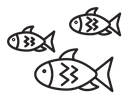 Shoal icon