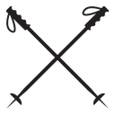 Ski poles set icon