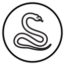 Snake Black Outline icon