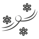 Snow blowing icon