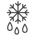 Snowflake droplets icon