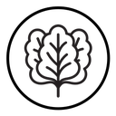Spinach icon