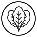 Spinach icon