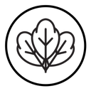 Spinach icon