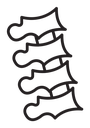 Spine icon