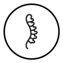 Spine icon