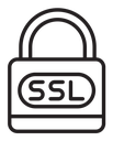 SSL icon