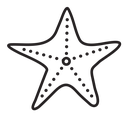 Starfish icon