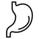 Stomach 2 icon